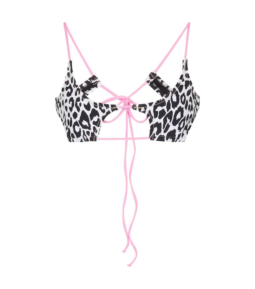 reina olga theresa leopard