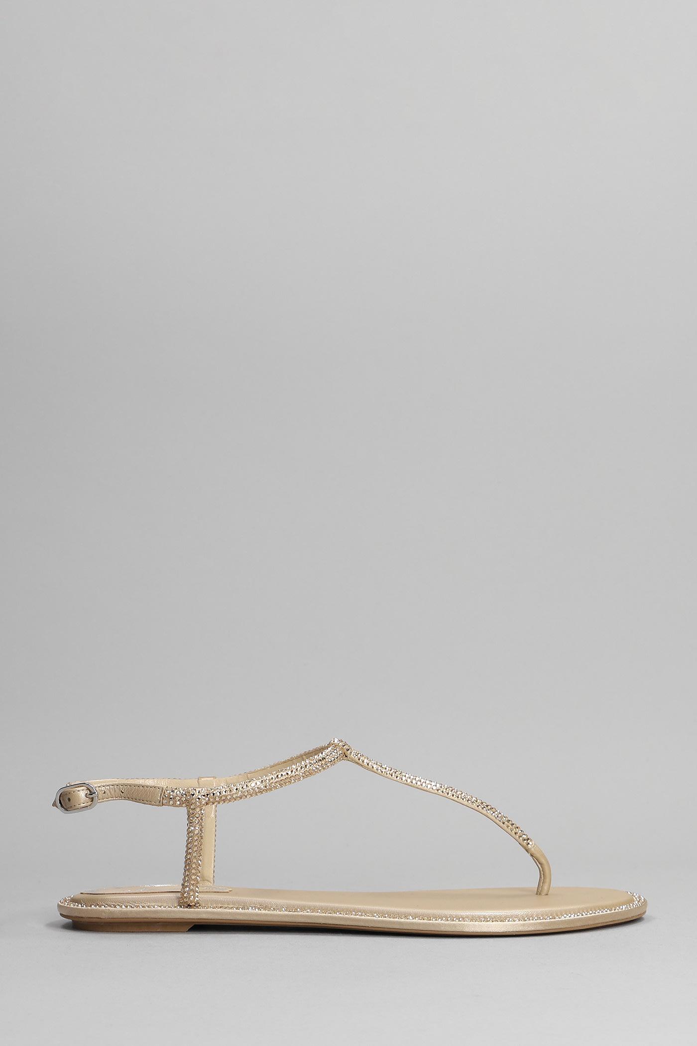 rené caovilla renè caovilla diana embellished thong sandals