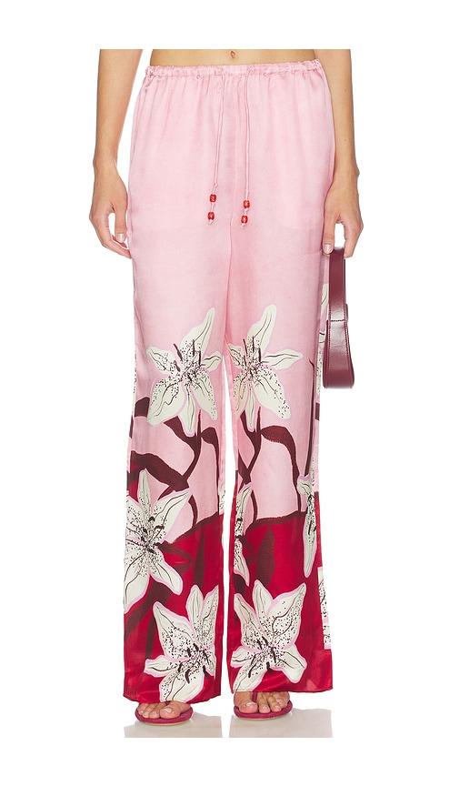 roame. miles pant in red,rose.