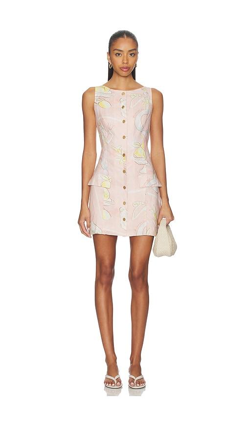 roame. ophelia mini dress in pink.