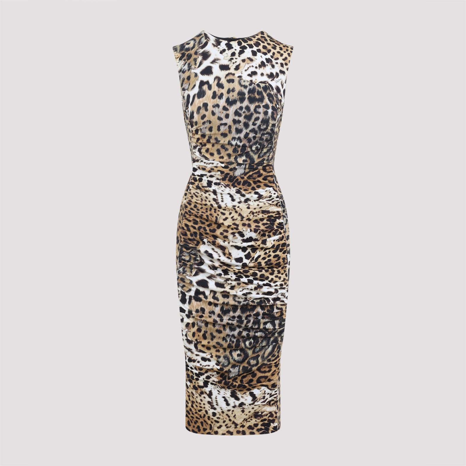 roberto cavalli jaguar skin dress