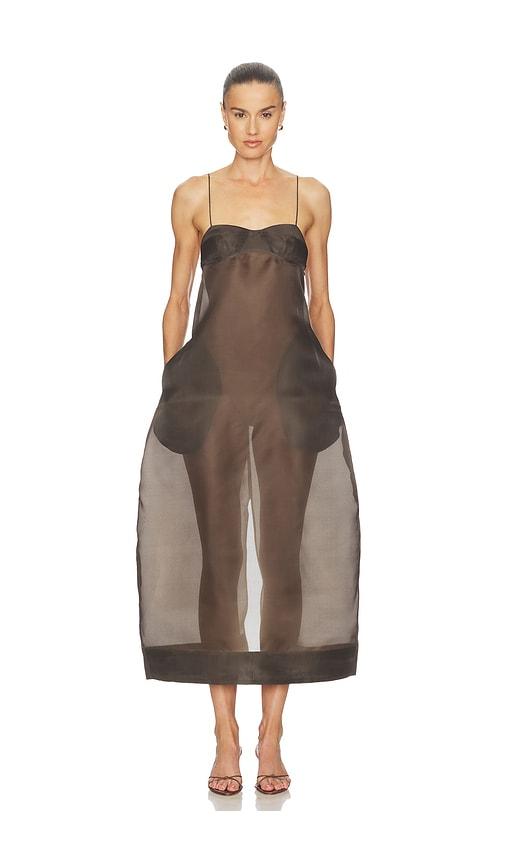rohe sheer bustier volume dress in chocolate.