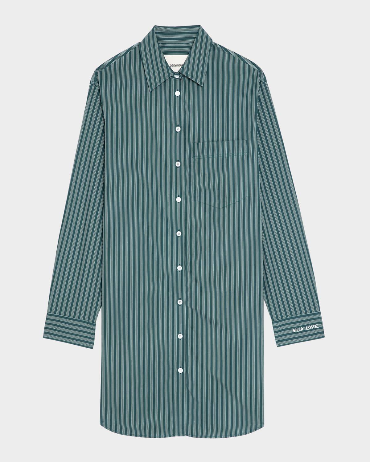 rorning striped poplin shirtdress