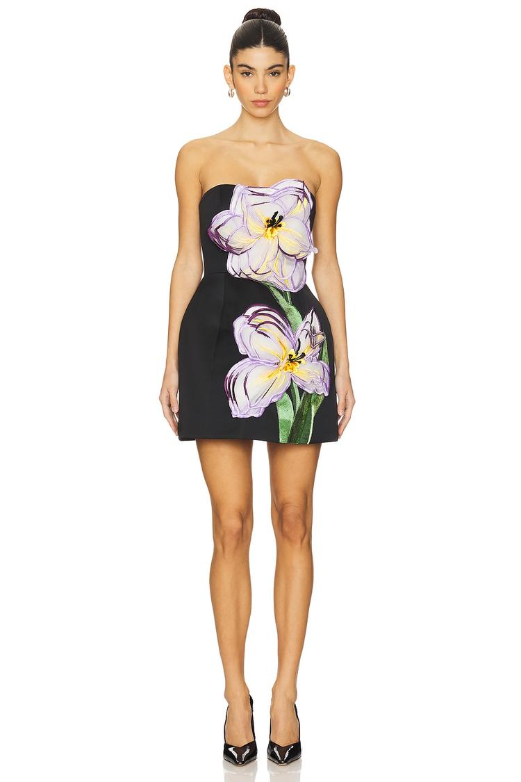 rosalie appliqué floral bustier mini dress in iris print