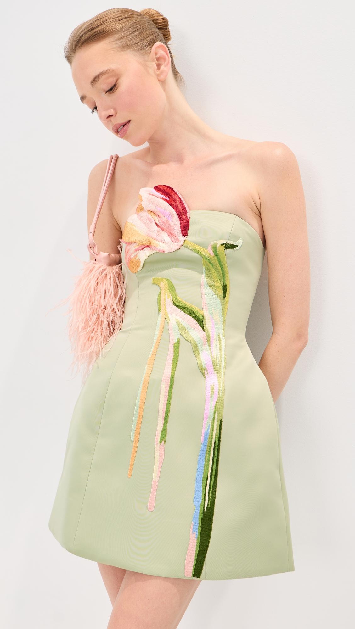 roselle bustier mini dress