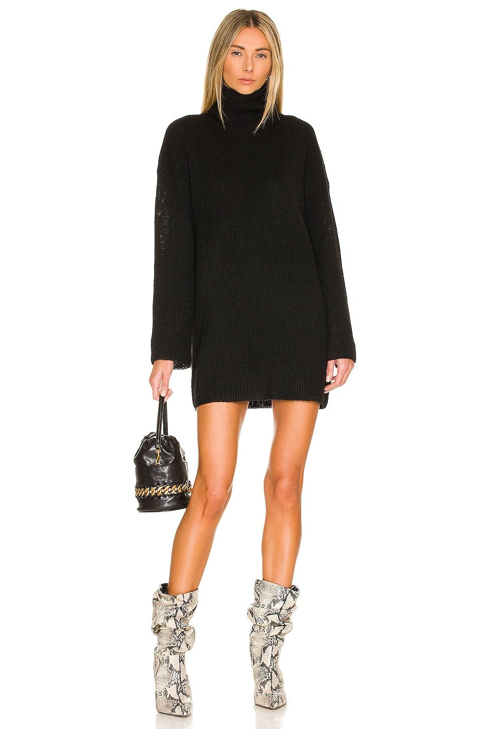 sable sweater dress