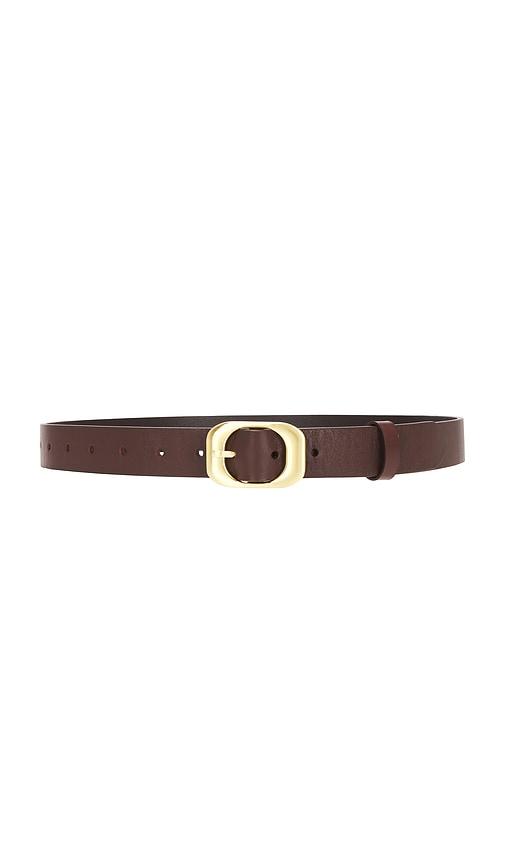 sancia the kylo belt in brown.