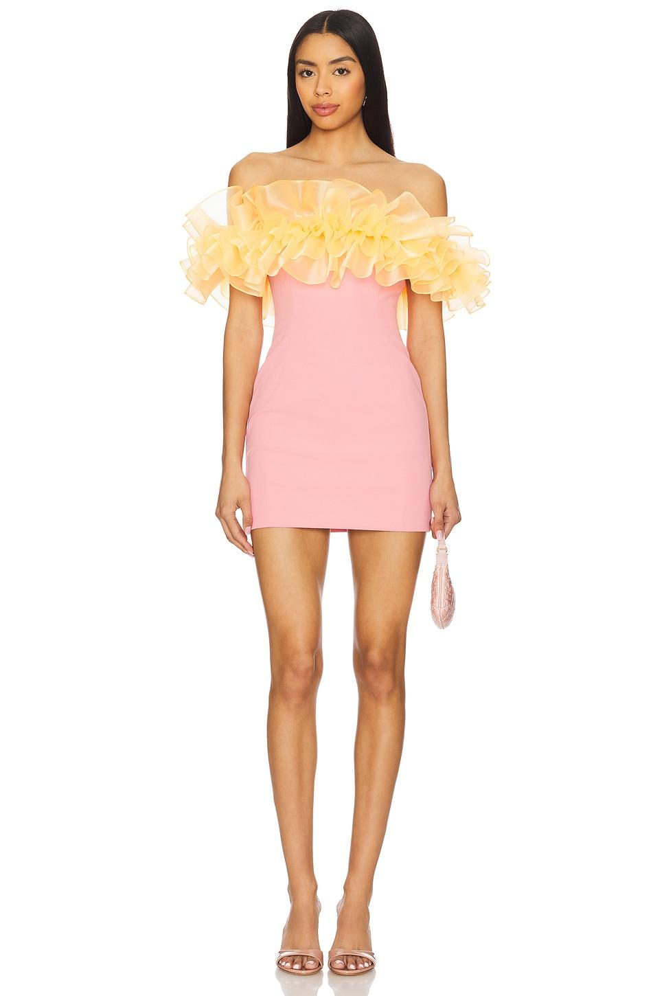 sasha dress