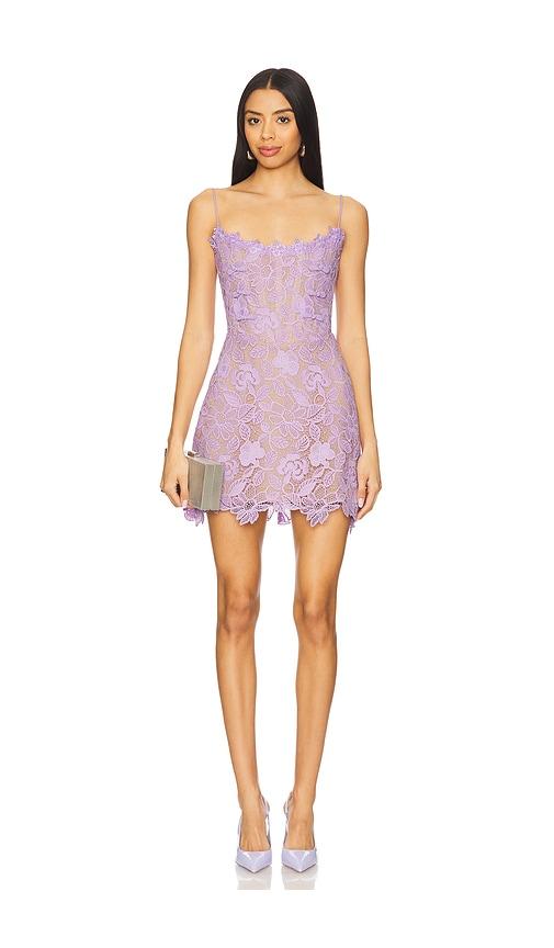 sau lee rory lace dress in lavender.