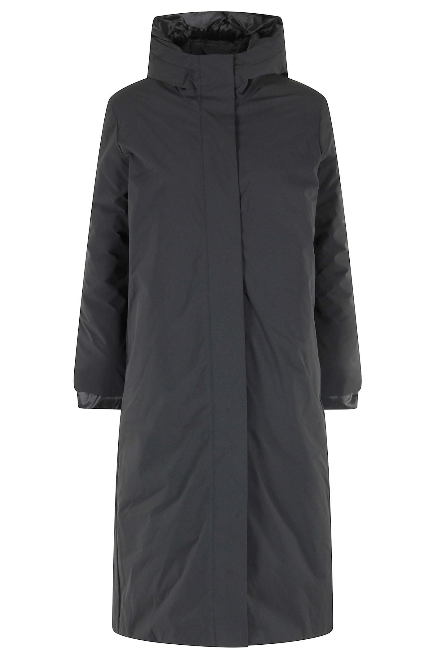 save the duck delphine