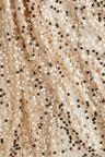 sequined net dress