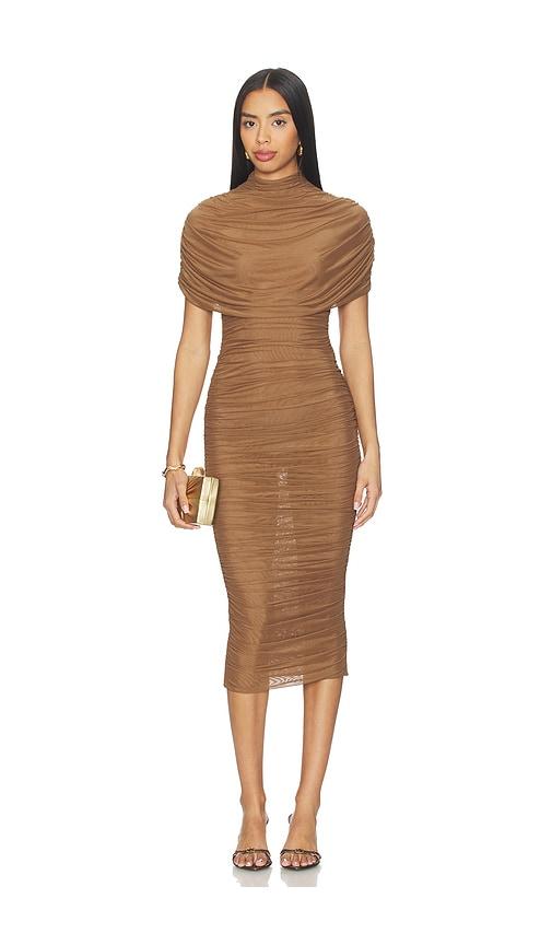 seroya riondra mesh dress in brown.