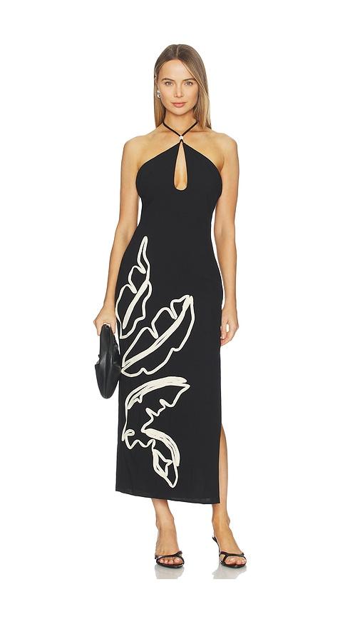 seven wonders brontie keyhole halter midi dress in black,white.