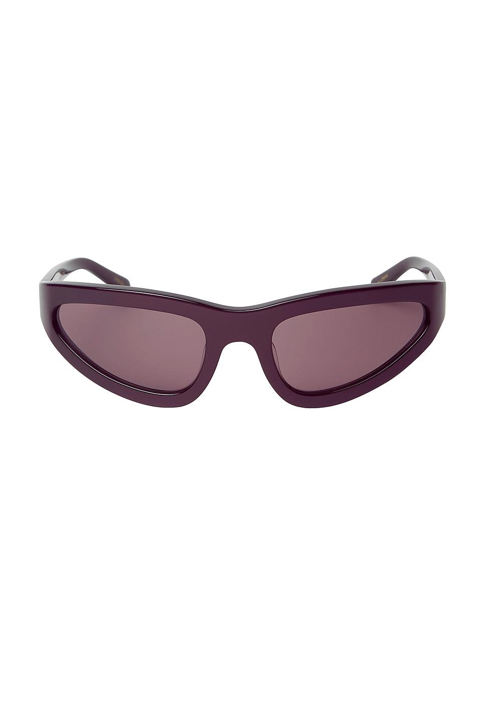 sham sunglasses