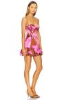 shelby dress