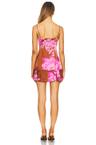 shelby dress