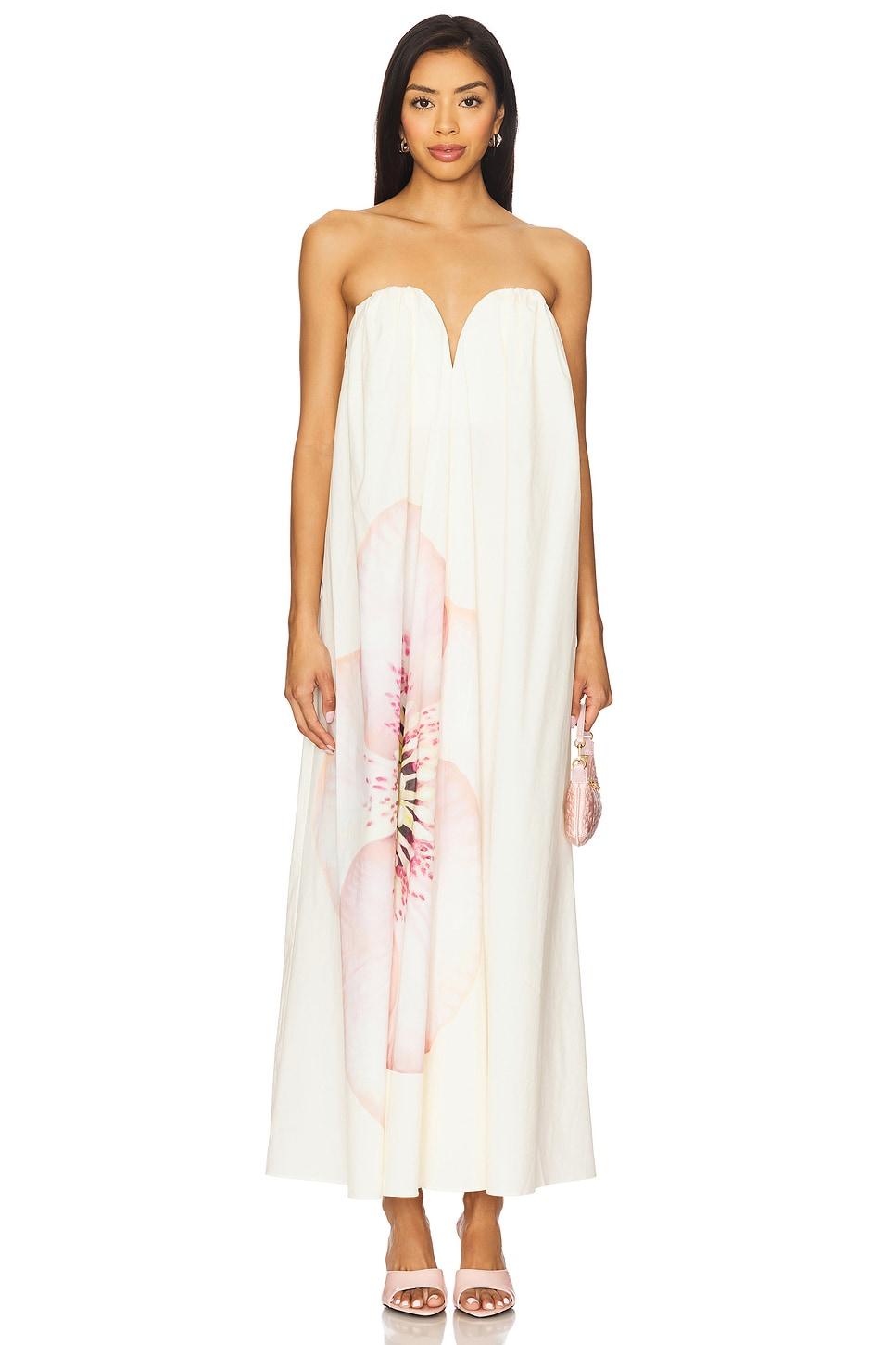 shiloh maxi dress