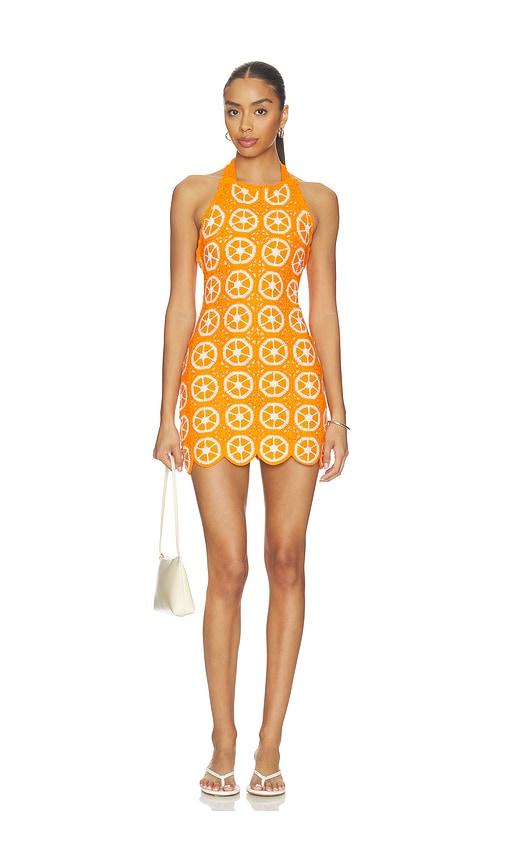 show me your mumu happy halter mini dress in orange.