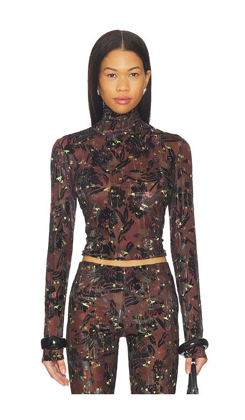 siedres mon top in brown.