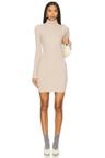silk turtleneck mini dress