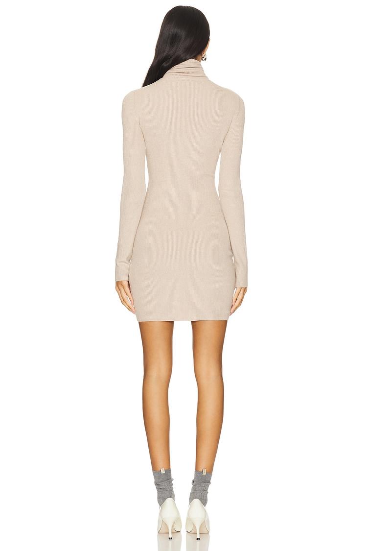 silk turtleneck mini dress