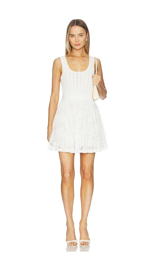 simkhai ellis knit lace mini dress in ivory.