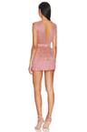 skylar mini dress