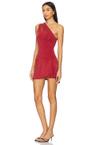 skylie skort dress