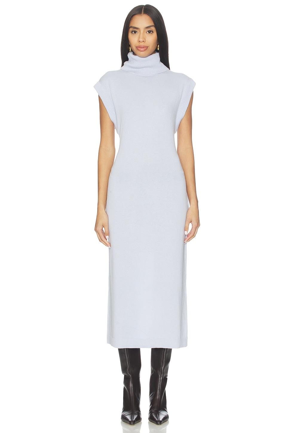 sleeveless turtleneck dress
