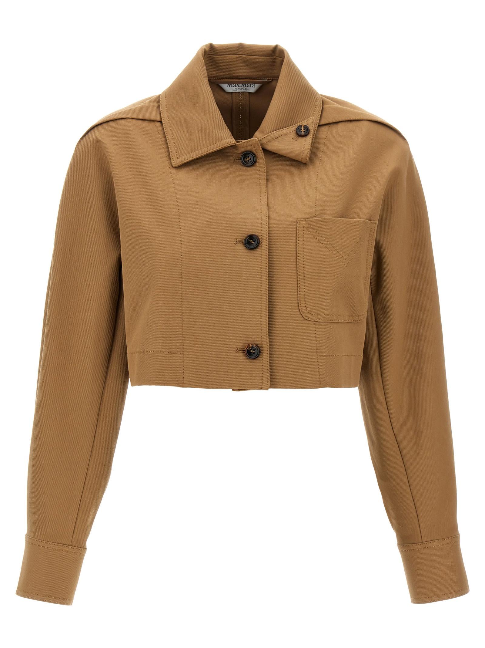 smalto jacket max mara