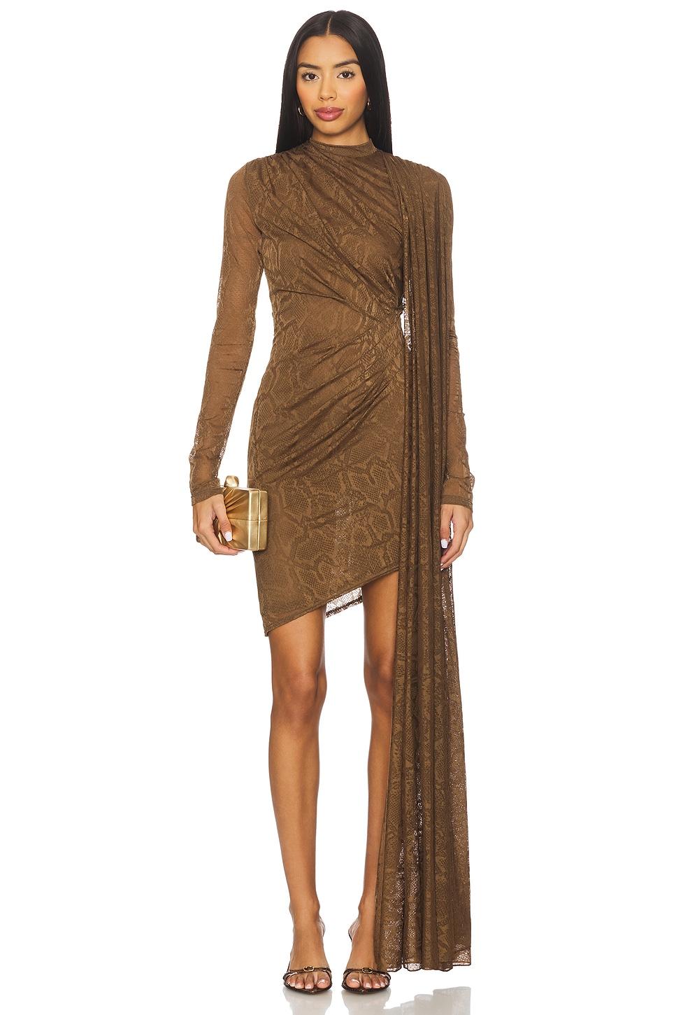 snake lace high neck cape dress