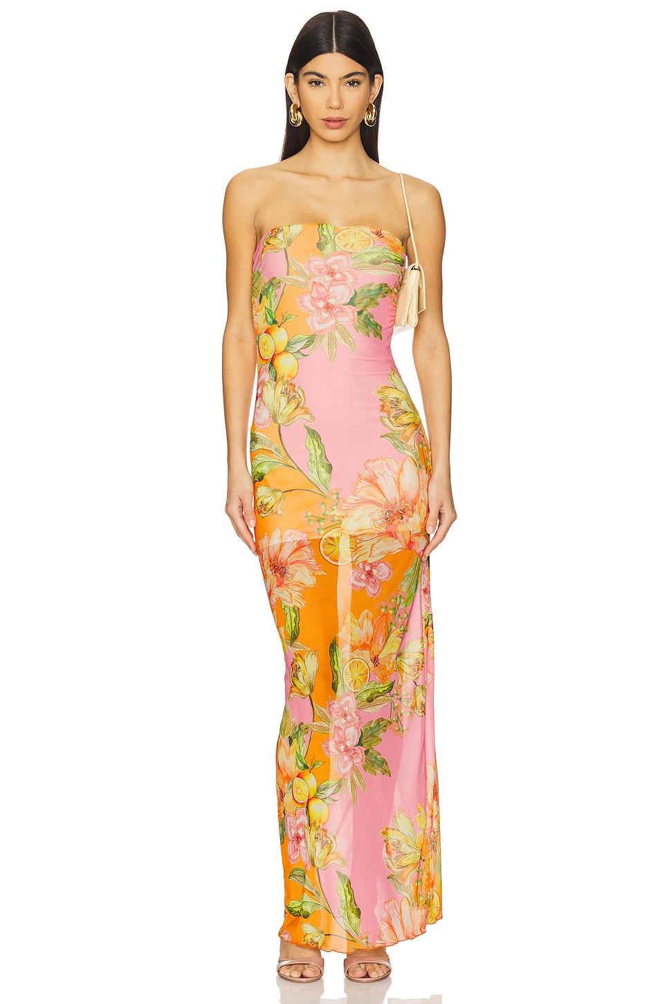 sofia tube dress