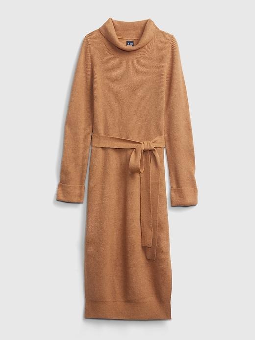 softest turtleneck sweater dress