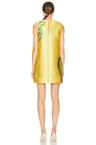 sol mini dress