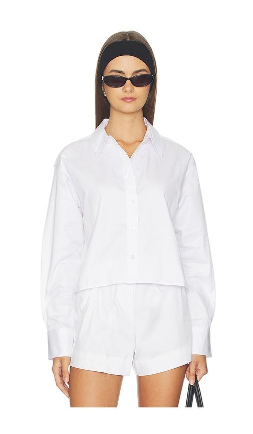 sold out nyc the cropped everything shirt in white.