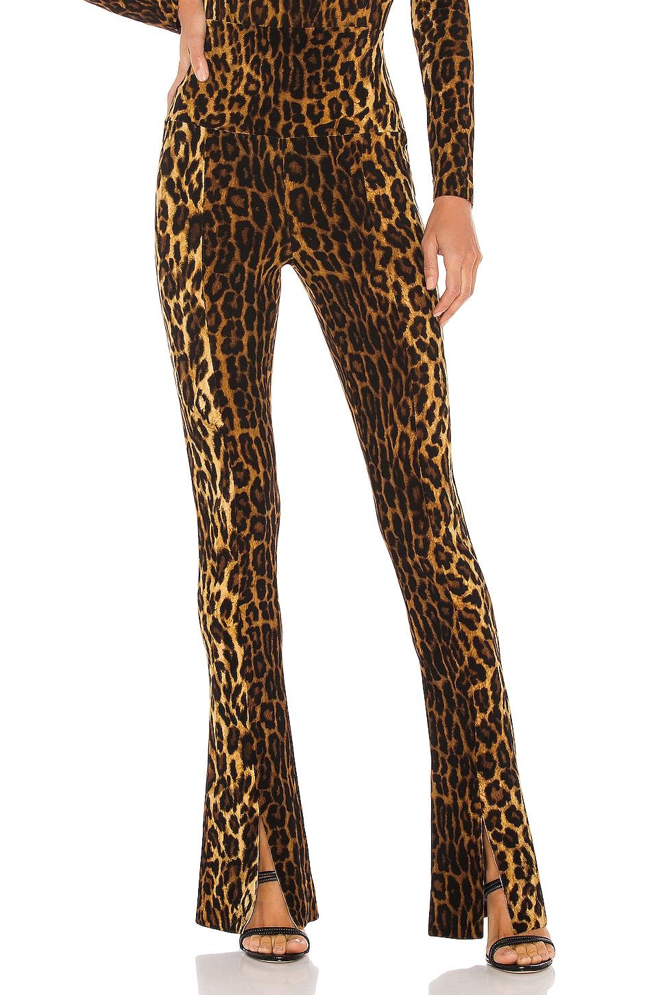 spat legging