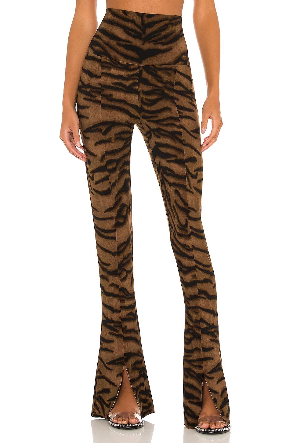 spat legging