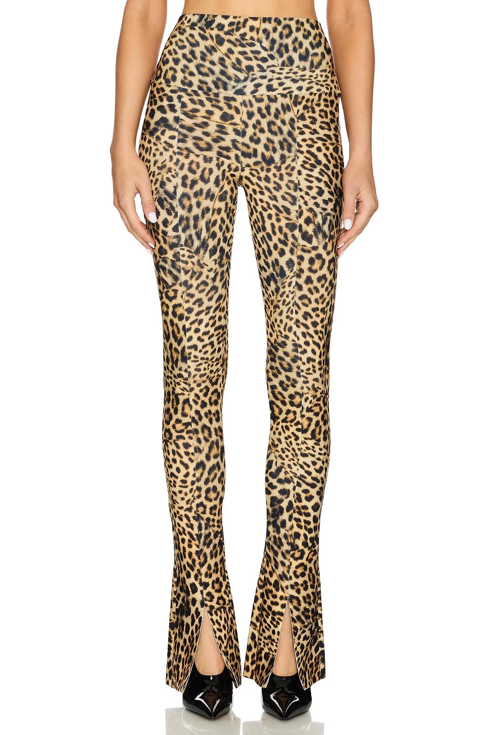 spat legging
