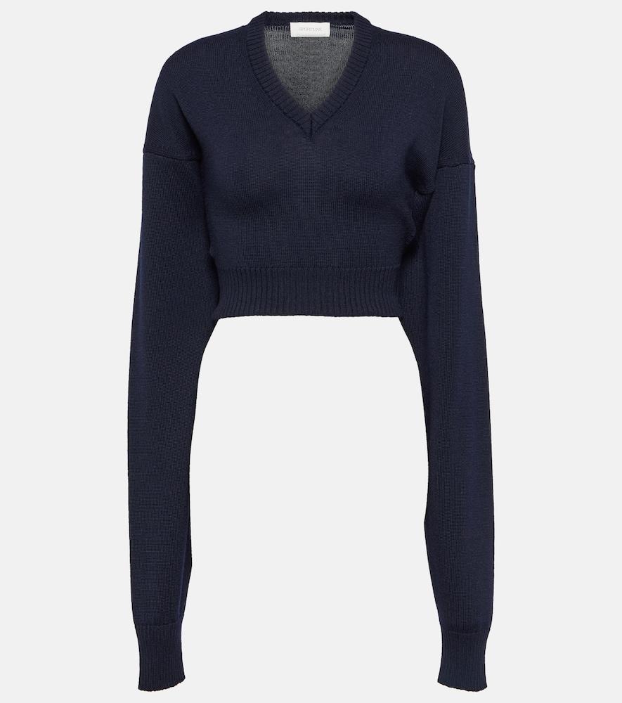 sportmax pomez cropped wool sweater