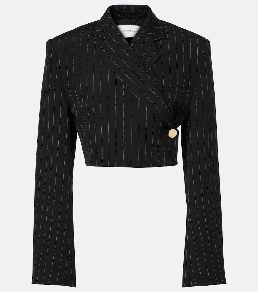 sportmax utopia pinstripe cropped blazer