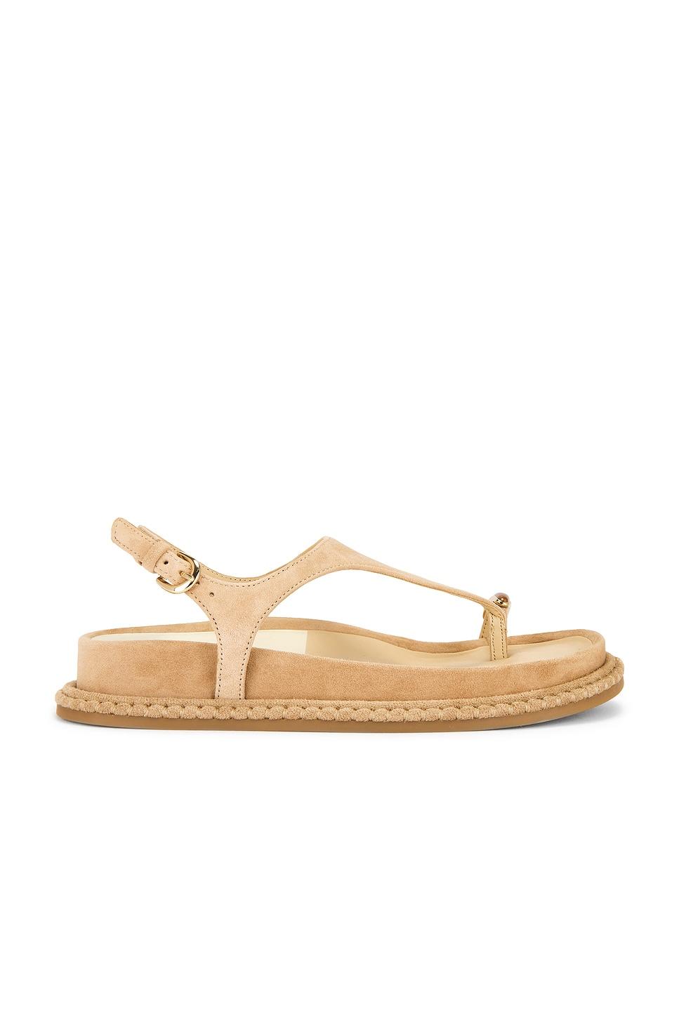 stefan gemstone sandal