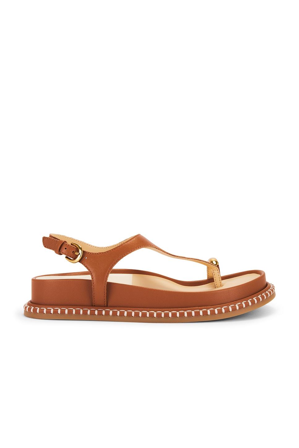steffan sandal in brown