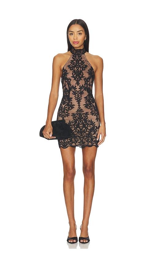stone cold fox x revolve ollie mini dress in black.