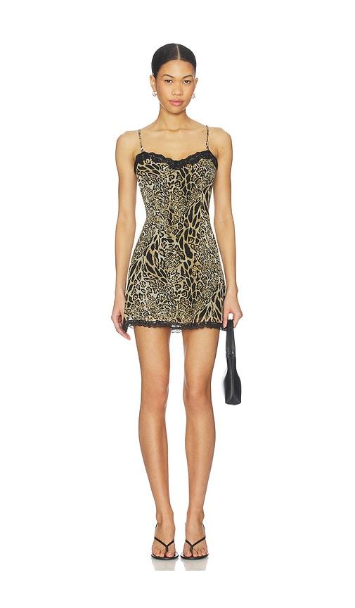 superdown assa mini dress in tan.
