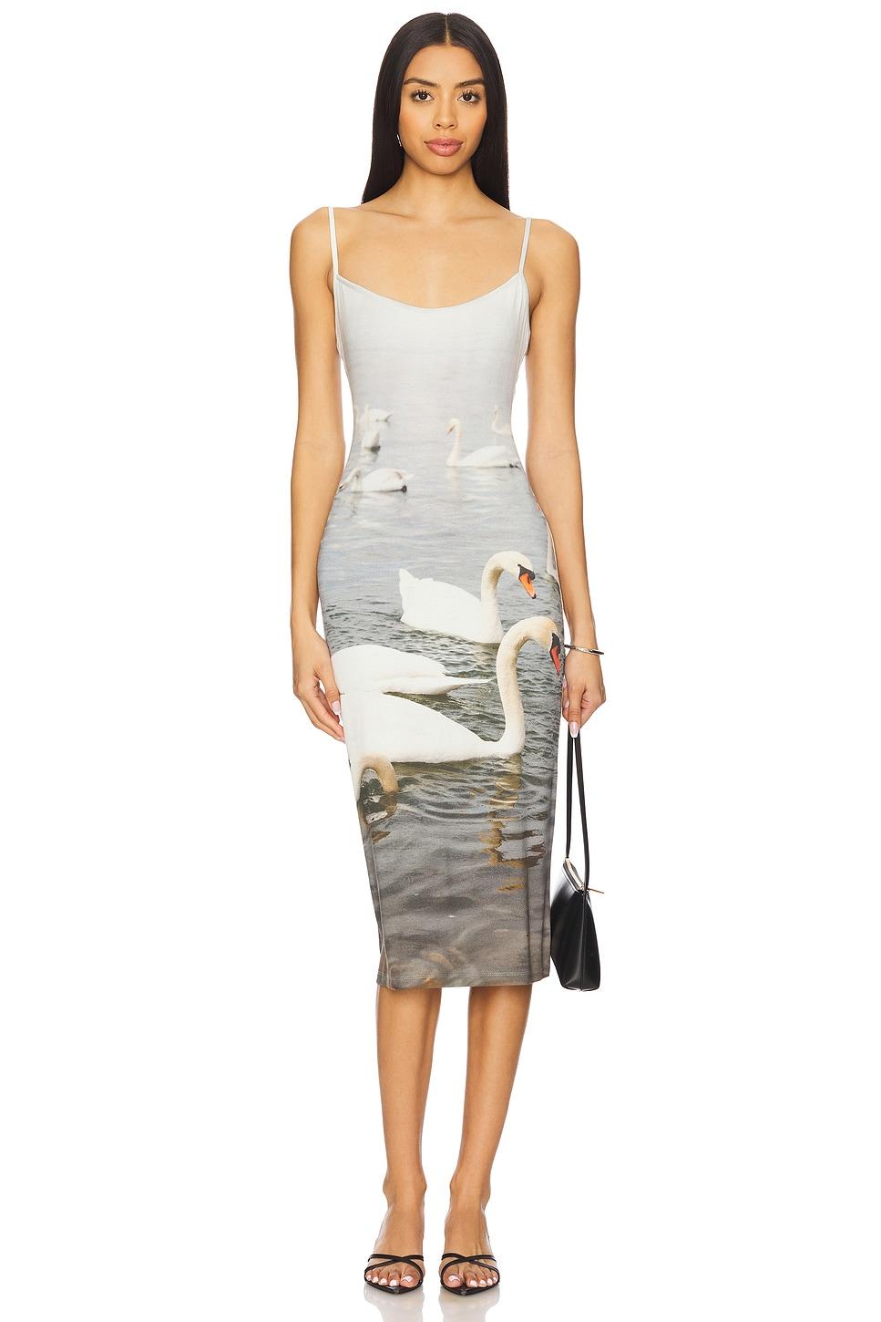 swan dress