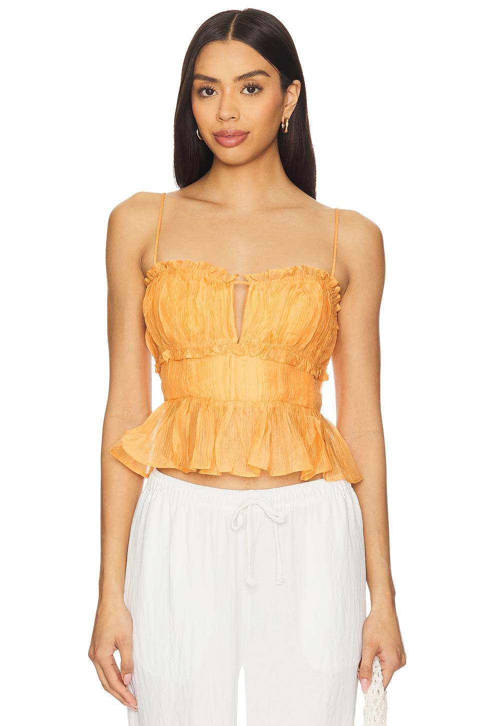 sylvan top