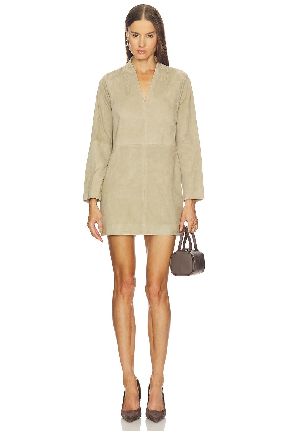 tanya suede dress