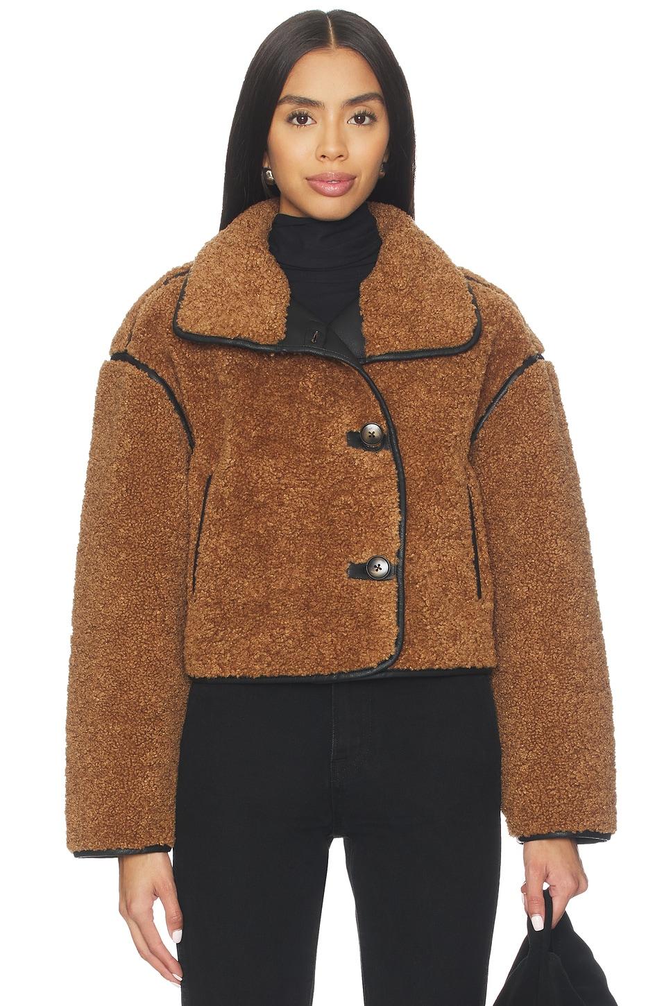 teddy coat