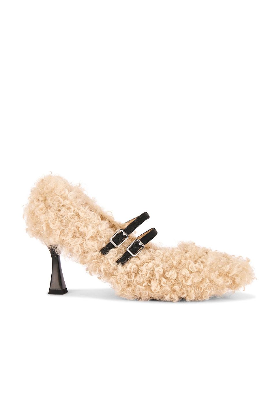 teddy heel