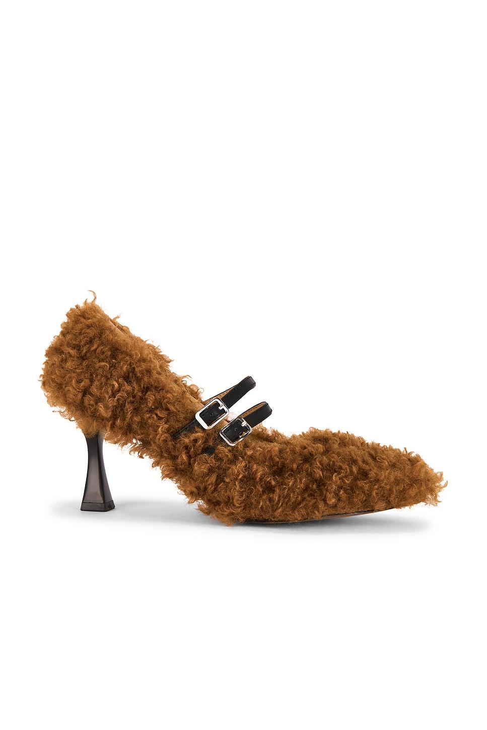 teddy heel